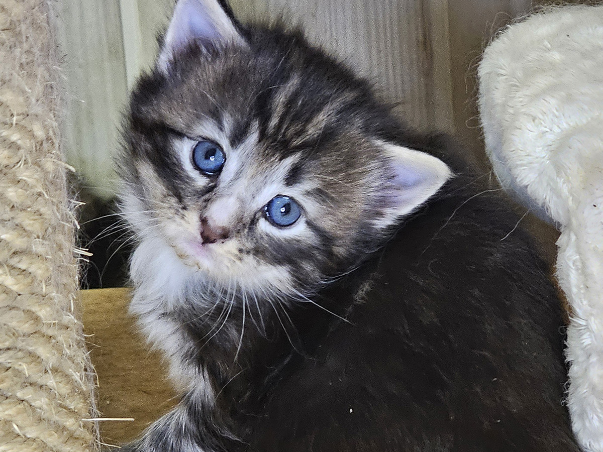 Matilda, 4 weeks old