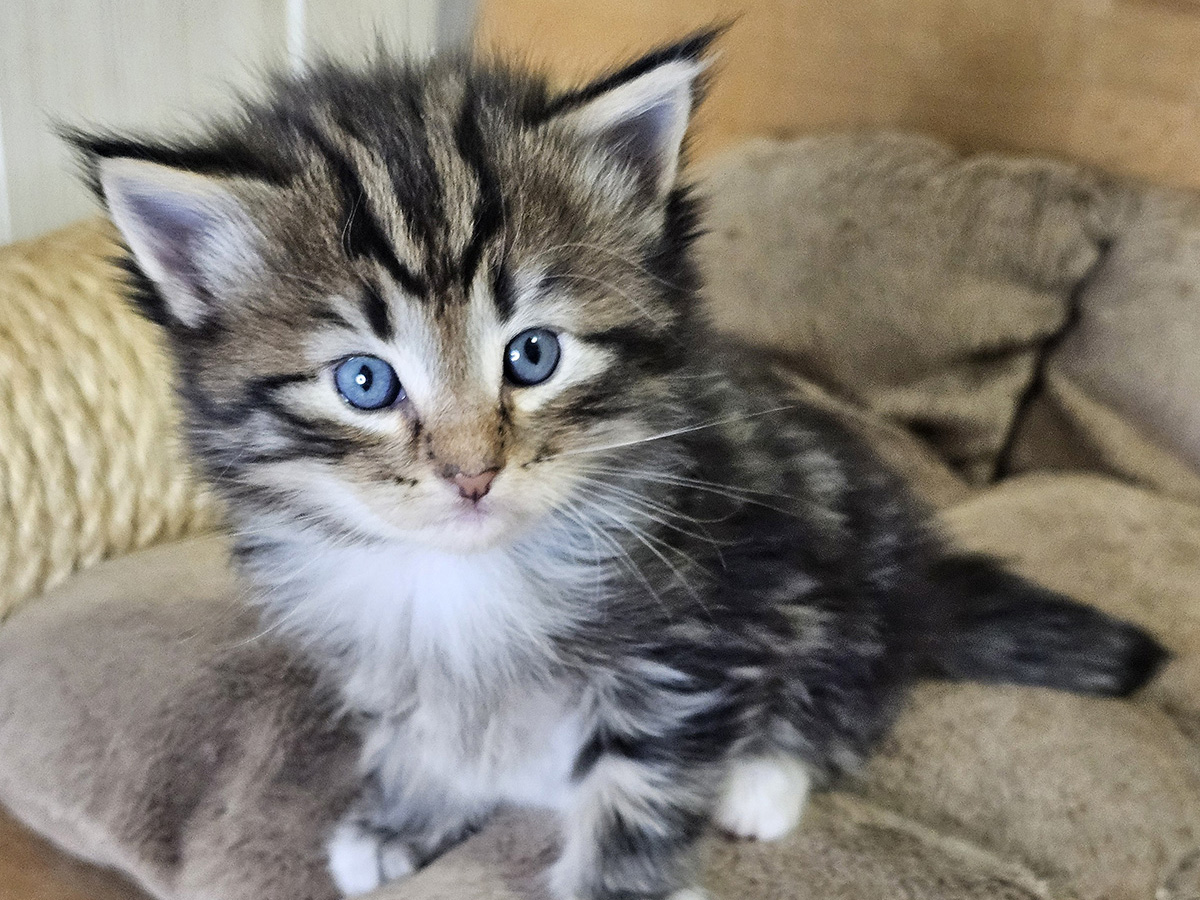 Million Dollar Baby, 4 weeks old